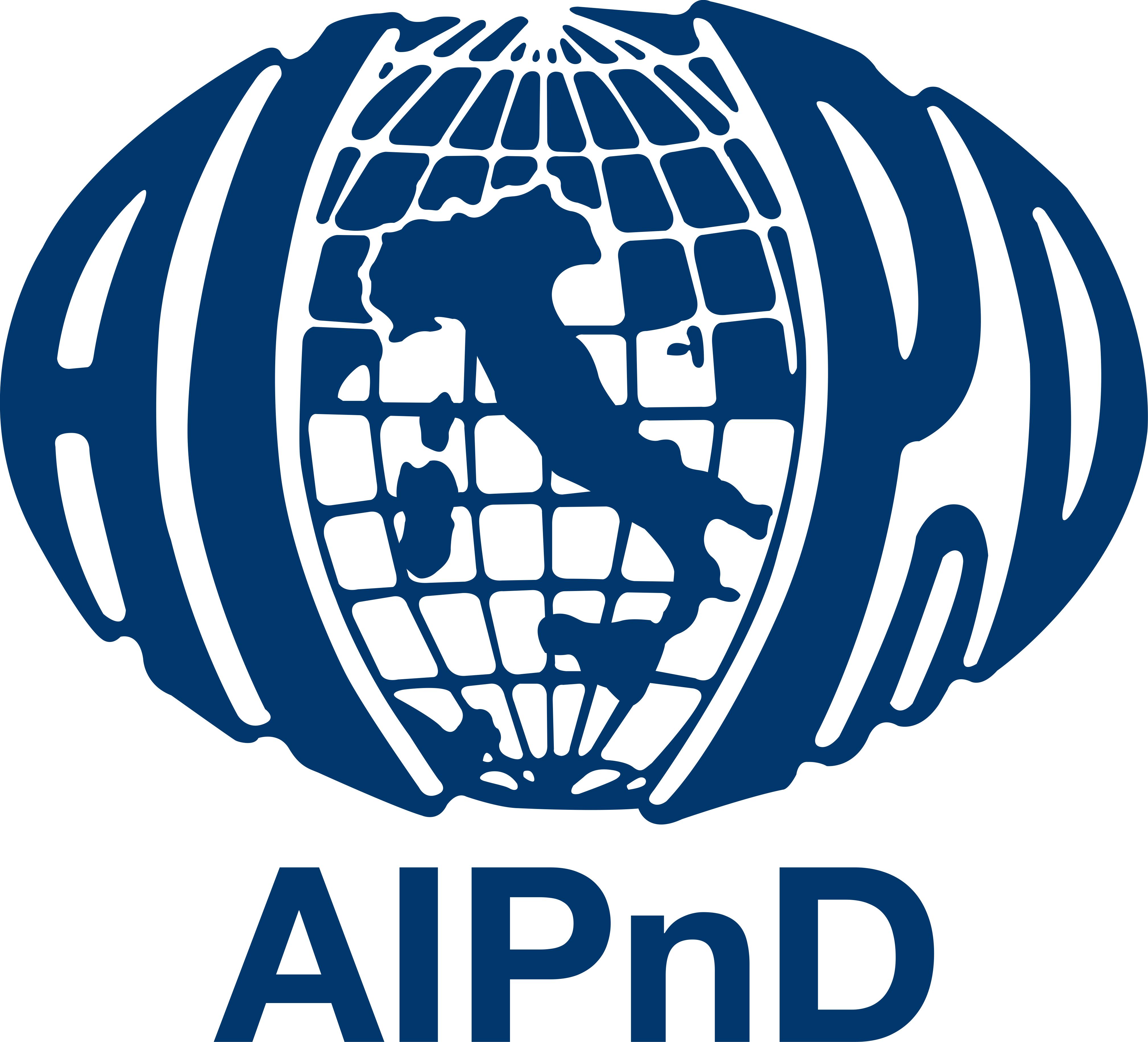 AIPnD - AITA 2013 supporter