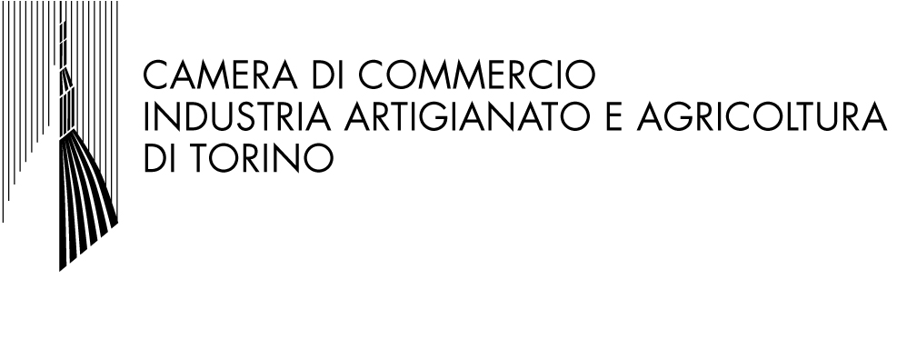 Camera di Commercio Industria Artigianato e Agricoltura di Torino - AITA 2013 sponsor